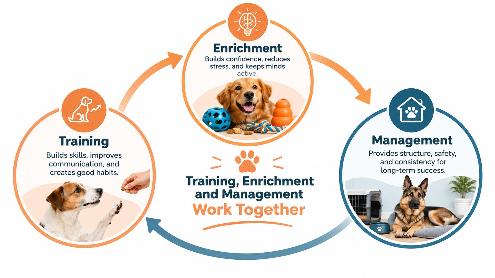 A diagram illustrating how training, enrichment, and management work together to build a calm and confident dog.