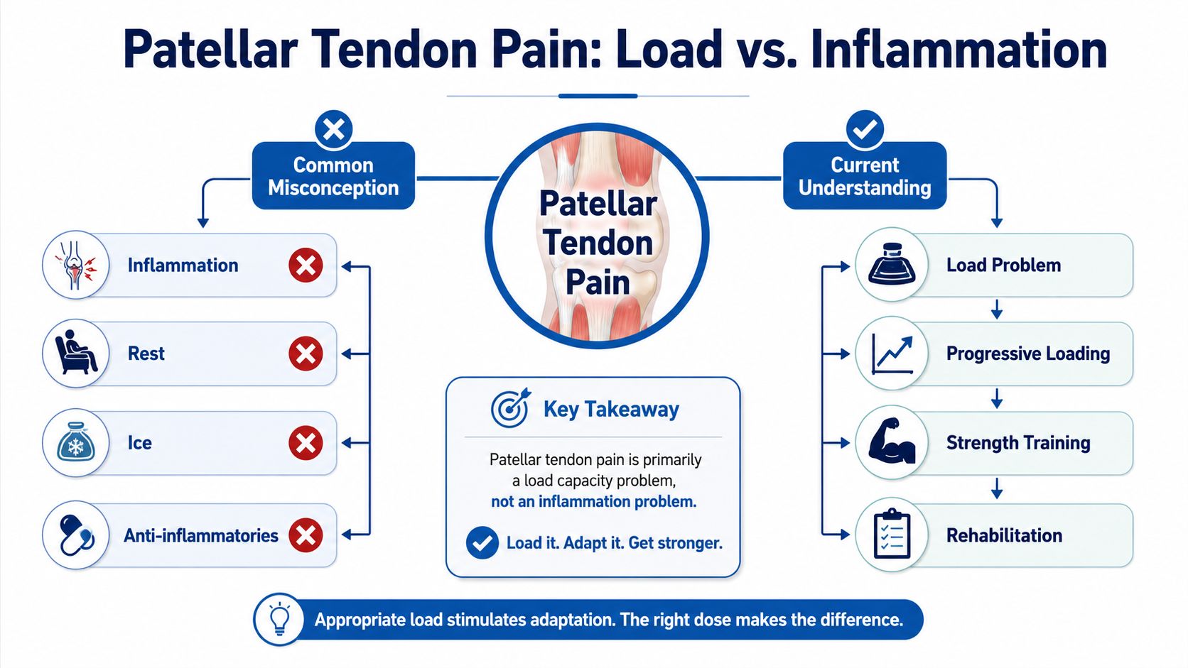 An infographic contrasting common misconceptions about patellar tendon pain with evidence-based load management and rehabilitation strategies.