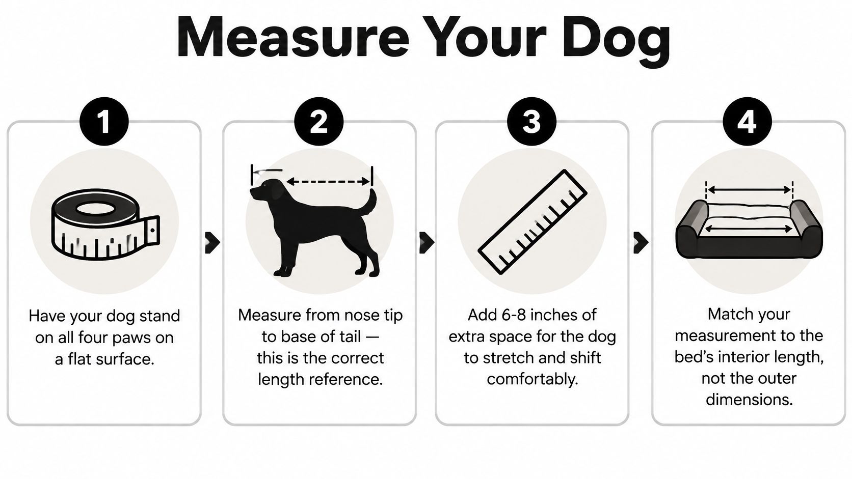 A four-step infographic showing how to correctly measure your dog for a new dog bed.