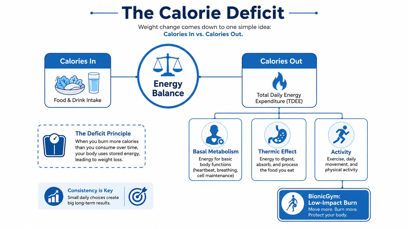 An infographic titled The Calorie Deficit illustrating energy balance between food intake and daily expenditure.
