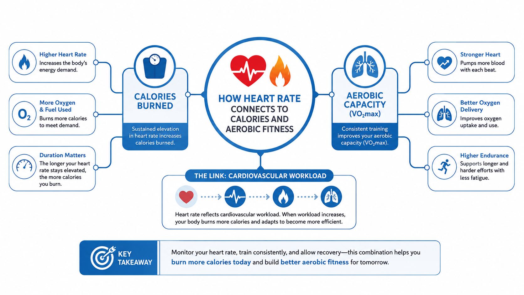 An infographic showing the connection between heart rate, burning calories, and improving overall aerobic fitness capacity.