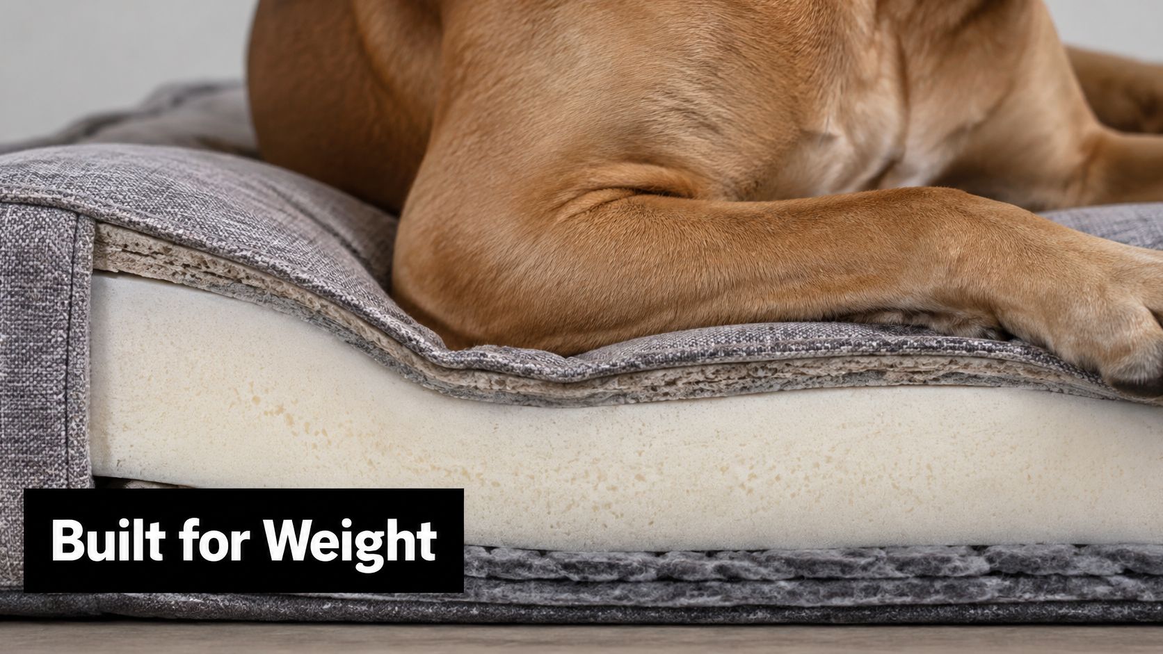 A close-up view of a large dog lying on a supportive memory foam bolster dog bed.