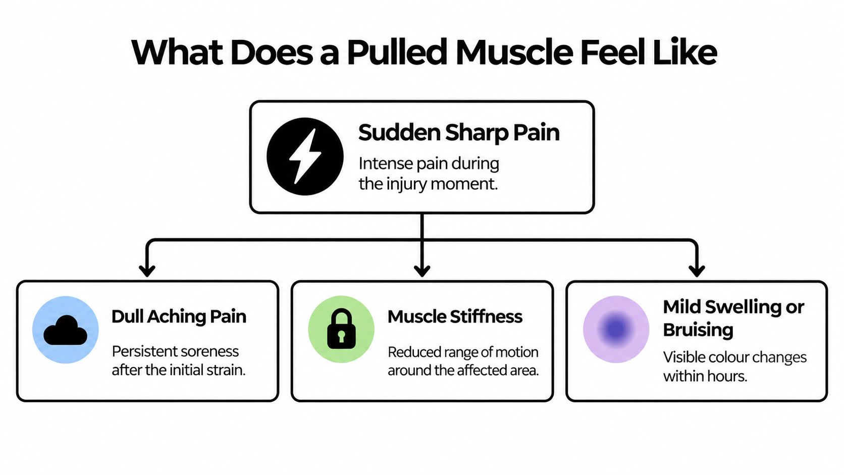 An infographic detailing the symptoms of a pulled muscle, including sudden pain, stiffness, and bruising.