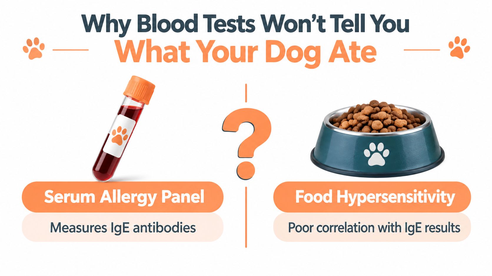 An infographic explaining why blood tests are unreliable for diagnosing dog food allergies or food hypersensitivities.