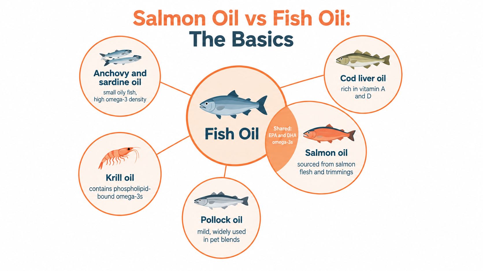 A diagram comparing salmon oil and other common types of fish oils with their unique health properties.