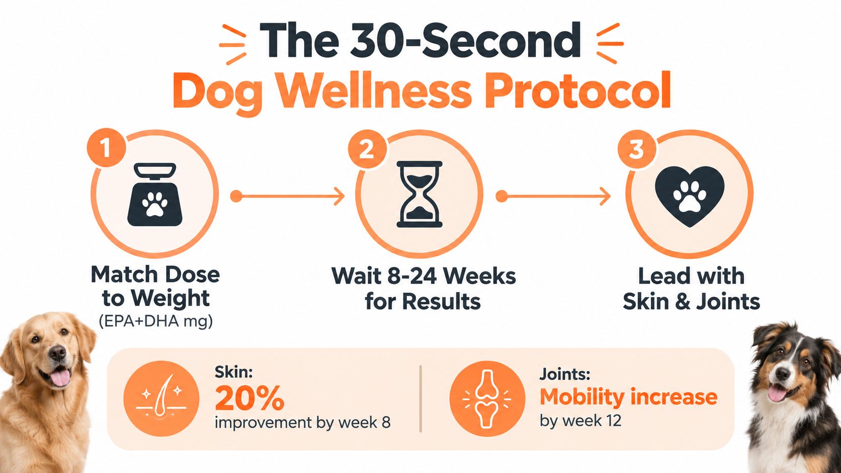 A three-step infographic showing a dog wellness protocol for skin and joint health using fish oil supplements.