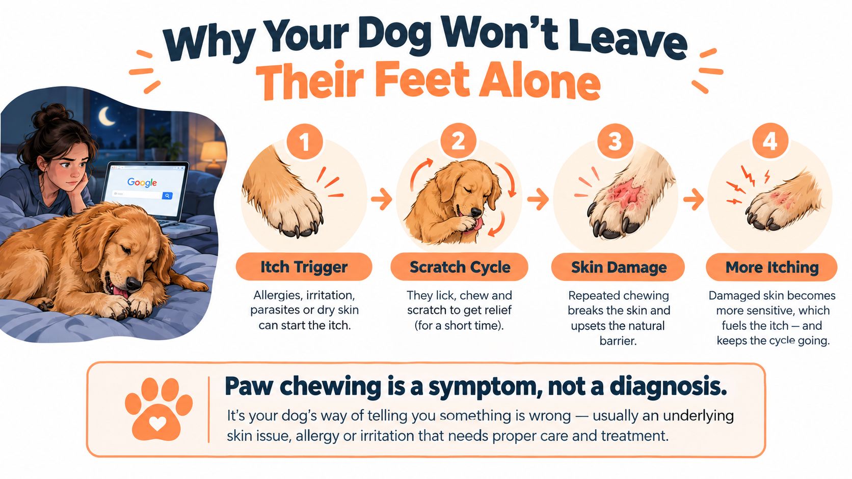 A diagram explaining why dogs chew their paws, showing the cycle from initial itch to skin damage.