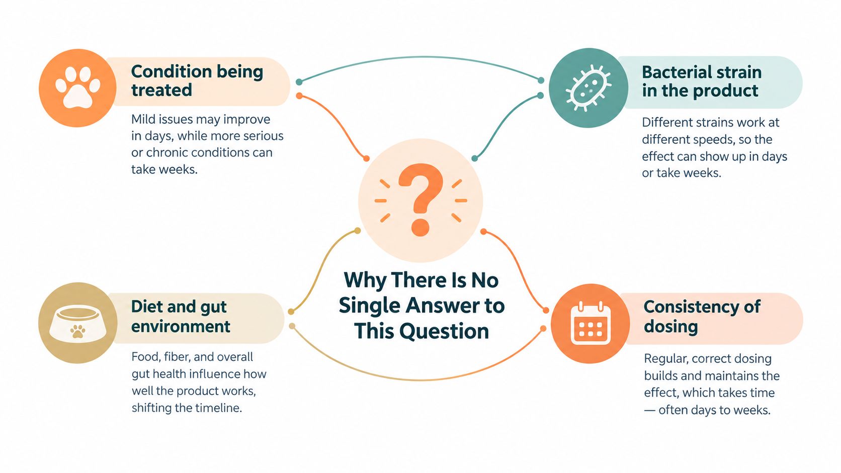 A diagram explaining factors that influence how long it takes for probiotics to work in dogs.