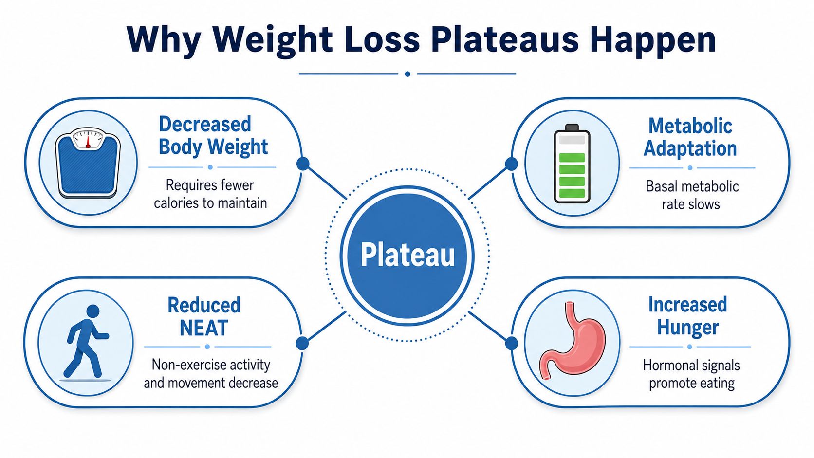 A diagram explaining four key biological and lifestyle factors that cause weight loss plateaus during dieting.