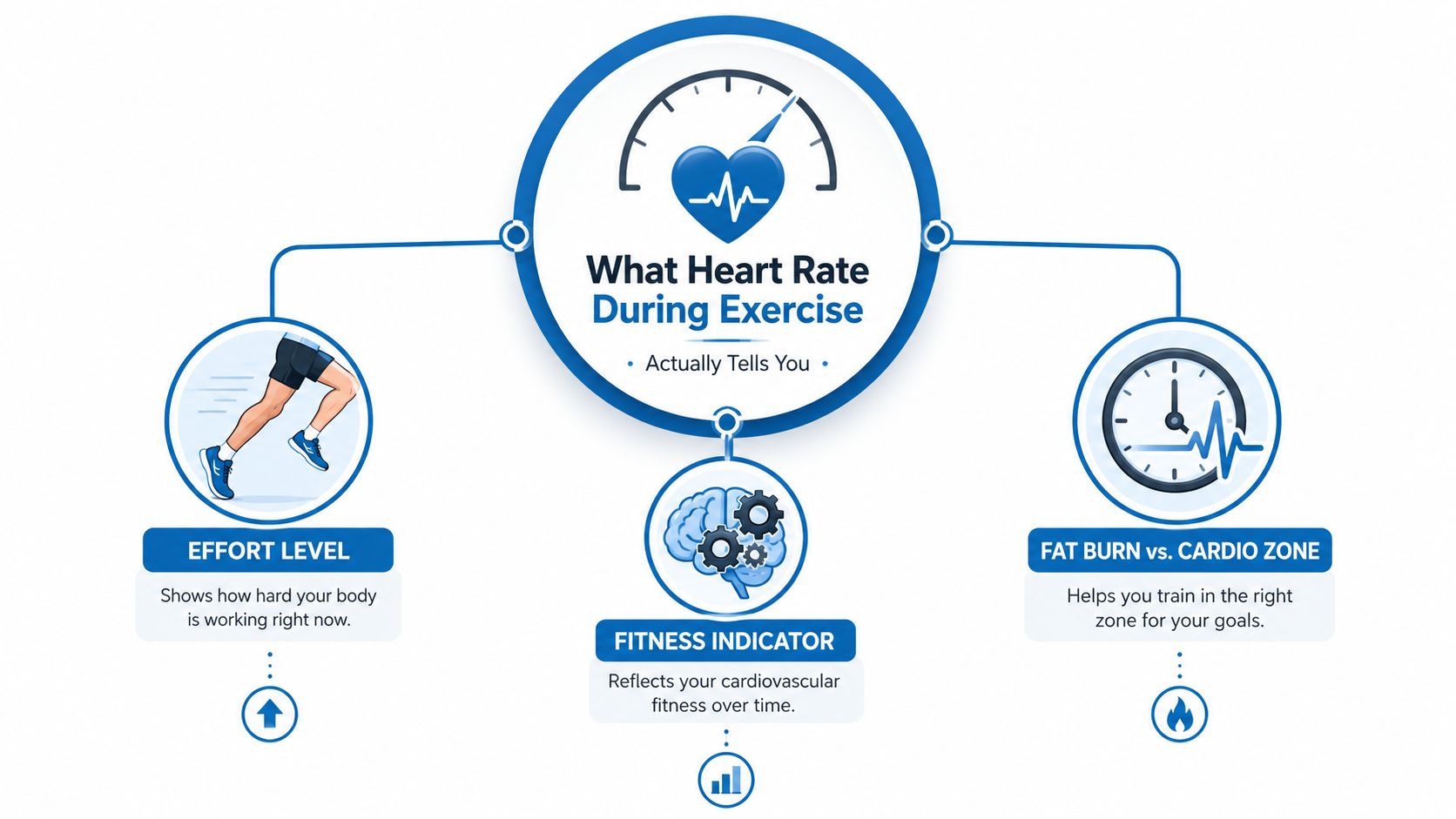 An infographic showing that heart rate during exercise indicates effort level, fitness progress, and training zones.