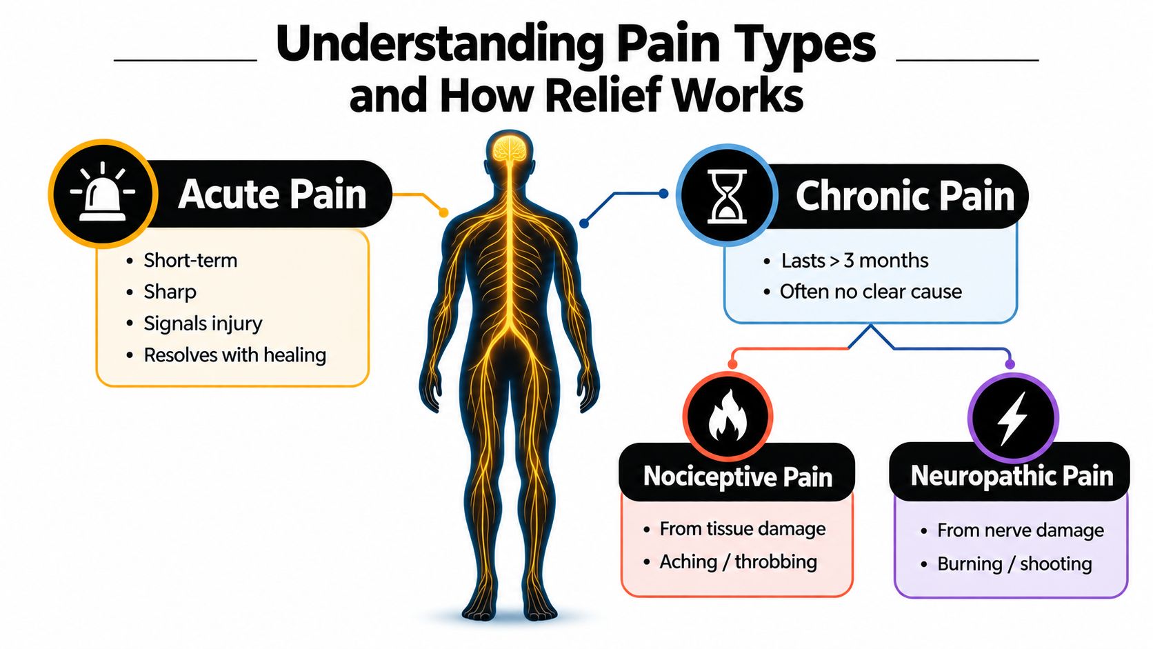 An infographic showing the differences between acute pain, chronic pain, nociceptive pain, and neuropathic pain.