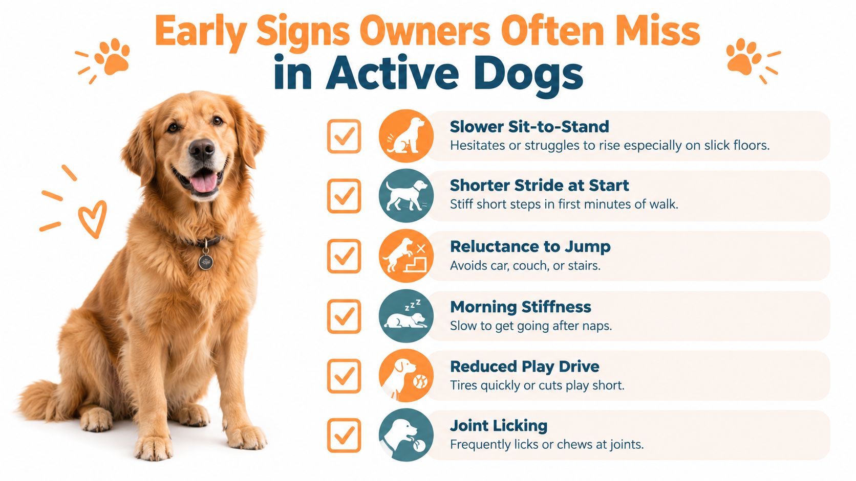 An infographic detailing common, subtle early signs of joint stiffness or mobility loss in active dogs.