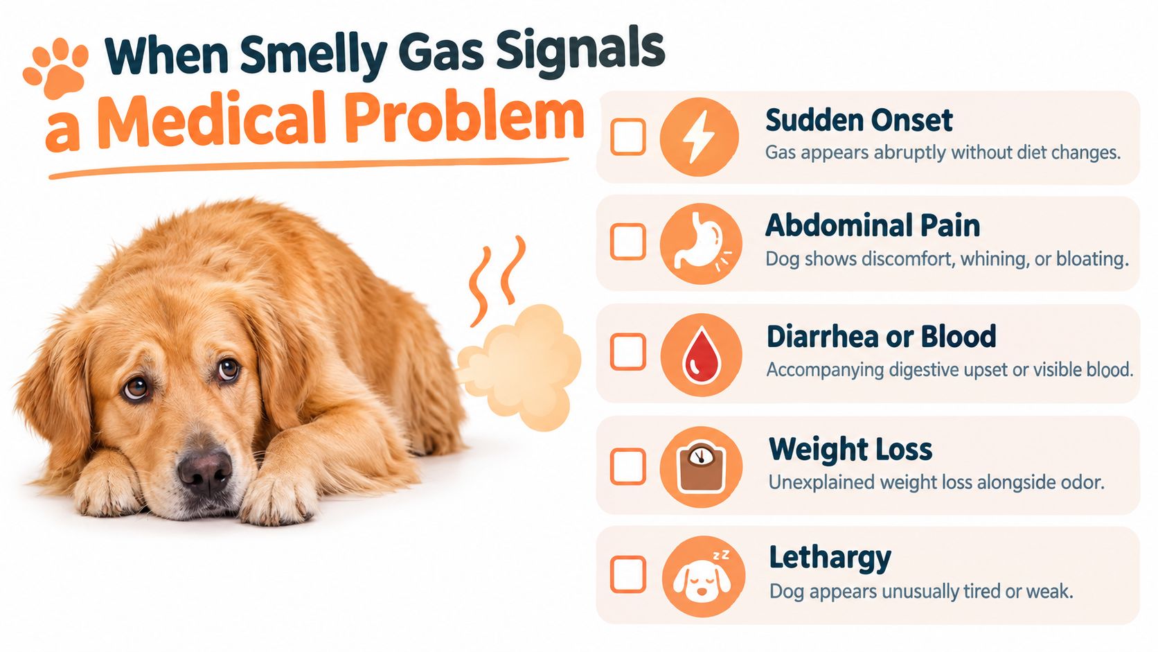 An infographic detailing five signs that a dog's smelly gas may indicate an underlying medical condition.