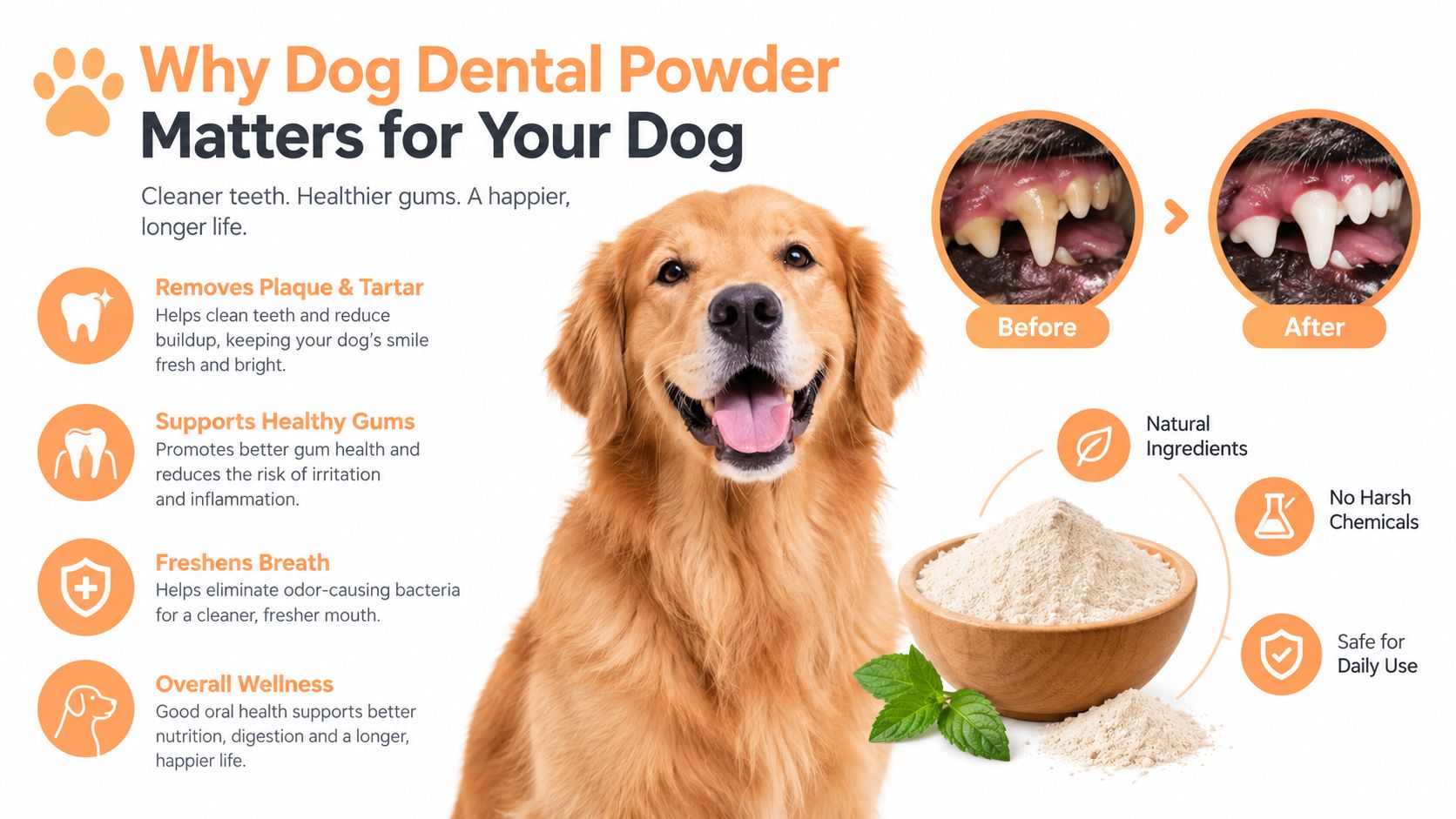 A happy golden retriever showing dental before and after results with a bowl of natural dental powder.