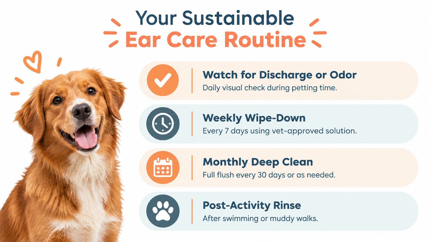 A graphic illustration detailing a four-step sustainable ear care routine for dogs with a happy dog pictured.