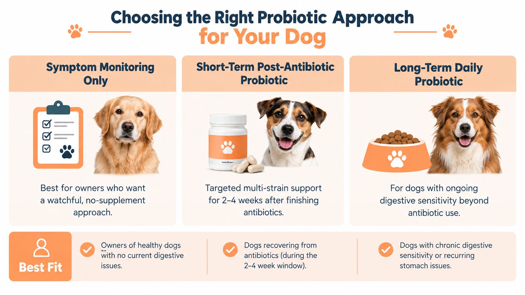An infographic showing three approaches to using dog probiotics based on health status and antibiotic use.