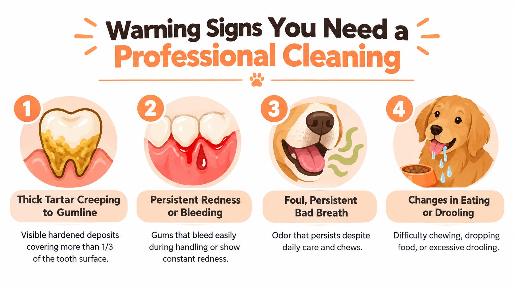 A list of four warning signs that indicate a pet dog requires a professional dental cleaning.