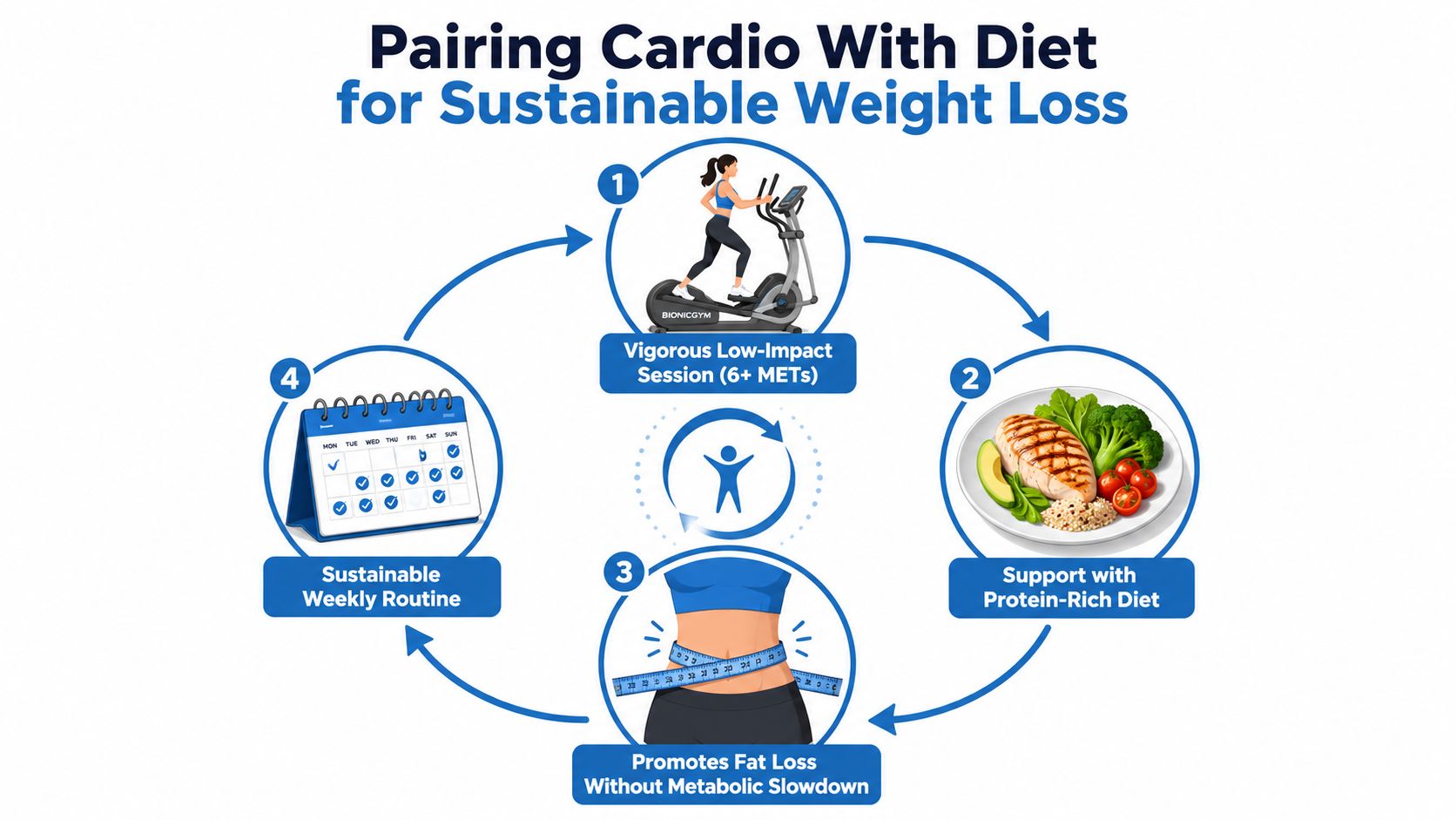 A diagram illustrating a four-step cycle for sustainable weight loss by combining cardio exercise with healthy dieting.