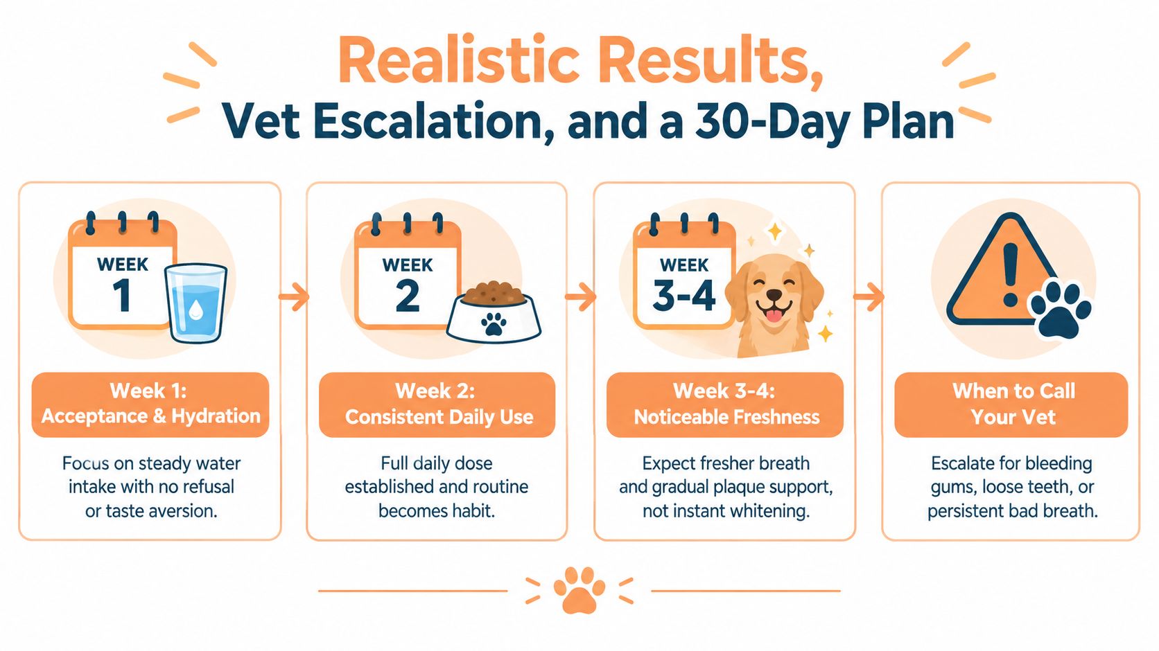 A 30-day plan infographic showing the step-by-step introduction of a pet dental water additive.