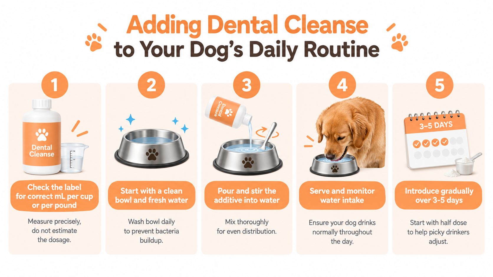 A five-step guide on how to add dental cleanse water additive to a dog's daily routine.