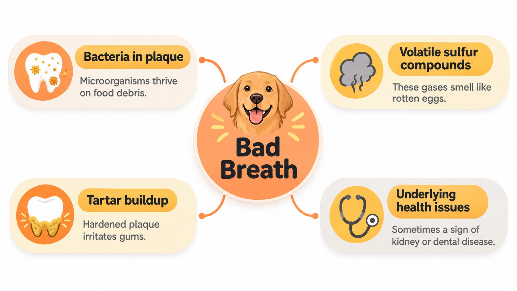 A diagram illustrating the four common causes of bad breath in dogs, including plaque and health issues.