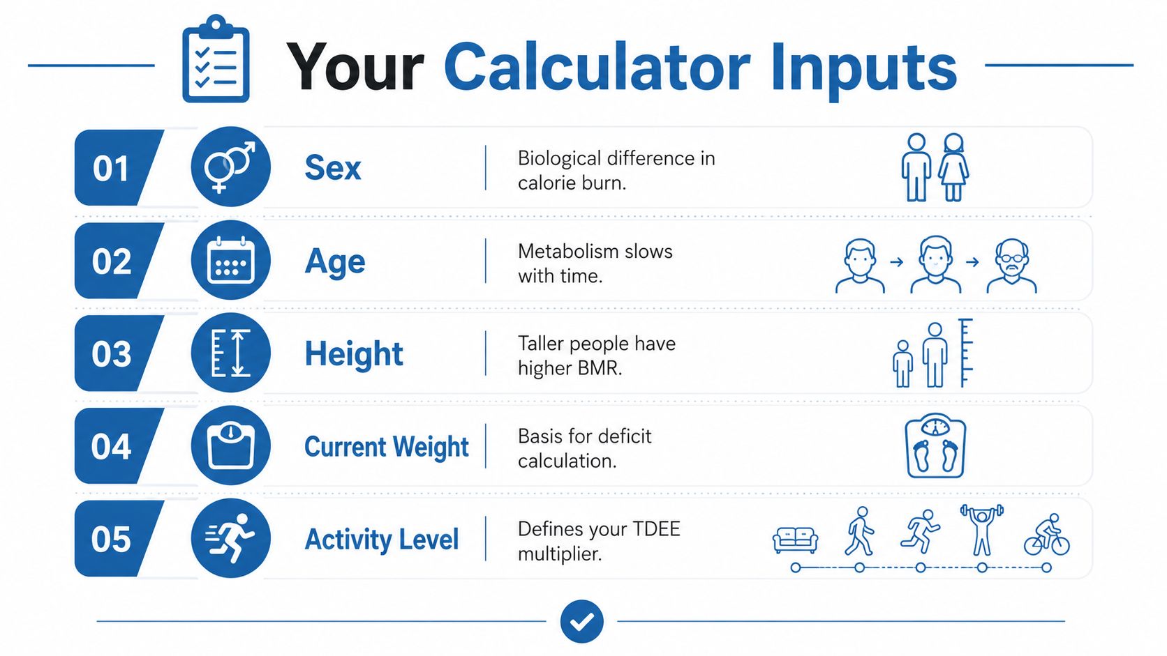 A list of five essential inputs for a body weight and metabolism calculator, including biological factors.