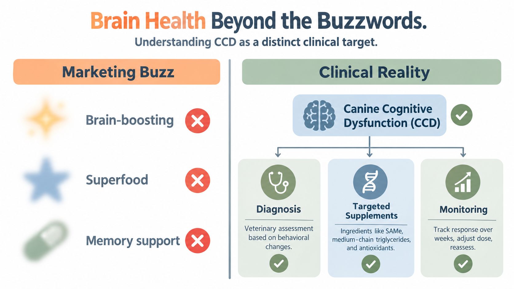 A comparison chart showing marketing buzzwords for brain health versus the clinical reality of canine cognitive dysfunction.