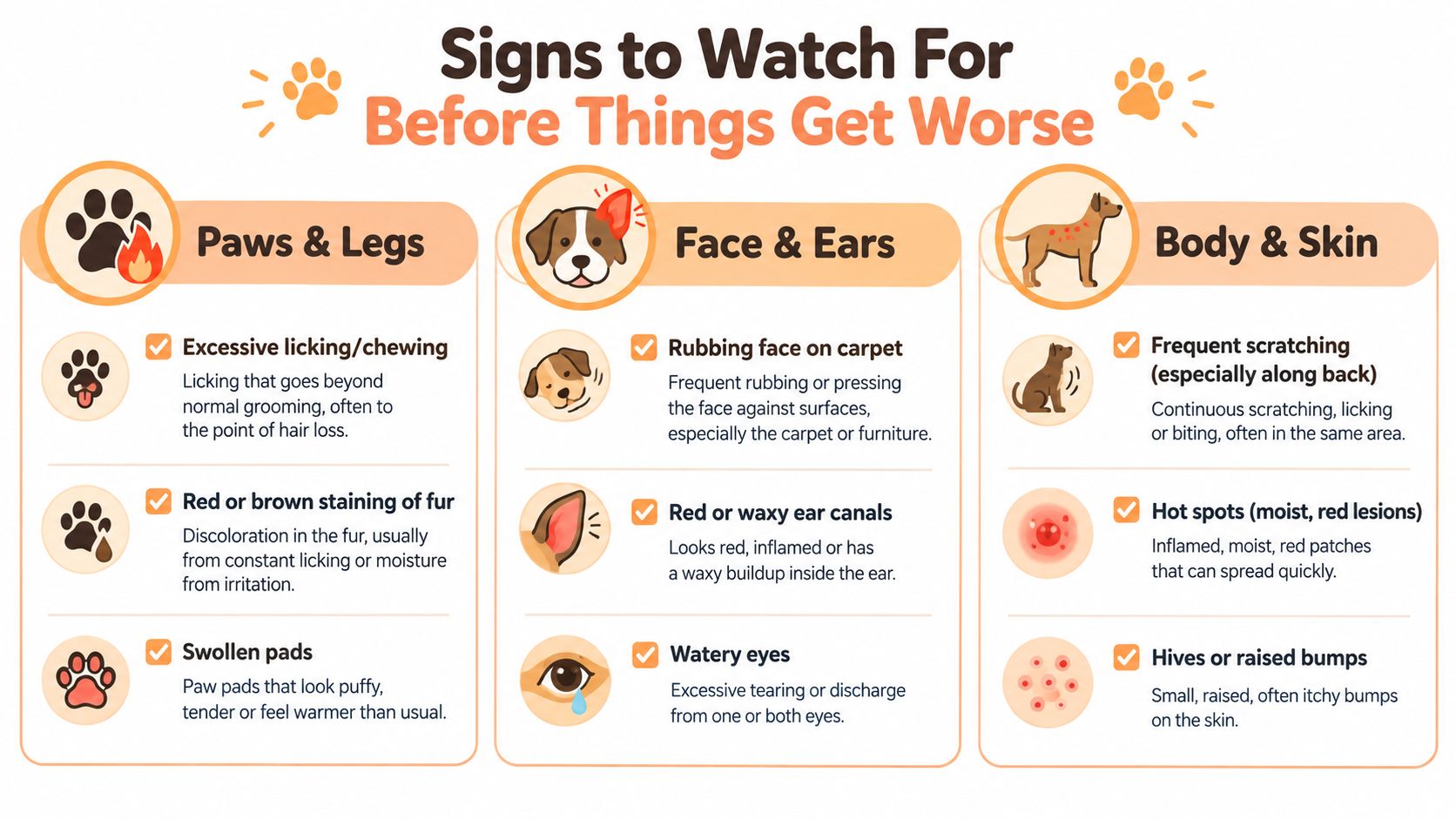 An infographic detailing physical signs of seasonal allergies in dogs, organized by paws, face, and body areas.