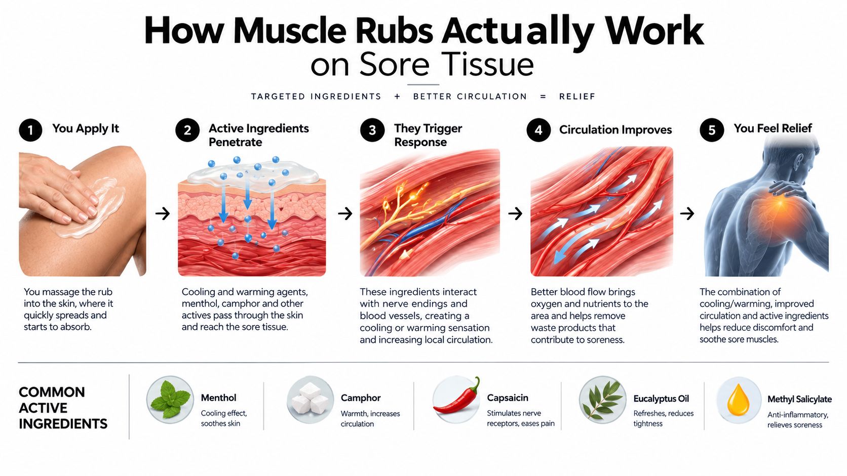 An infographic explaining how muscle pain relief rubs work through skin penetration, circulation improvement, and soothing sensation.