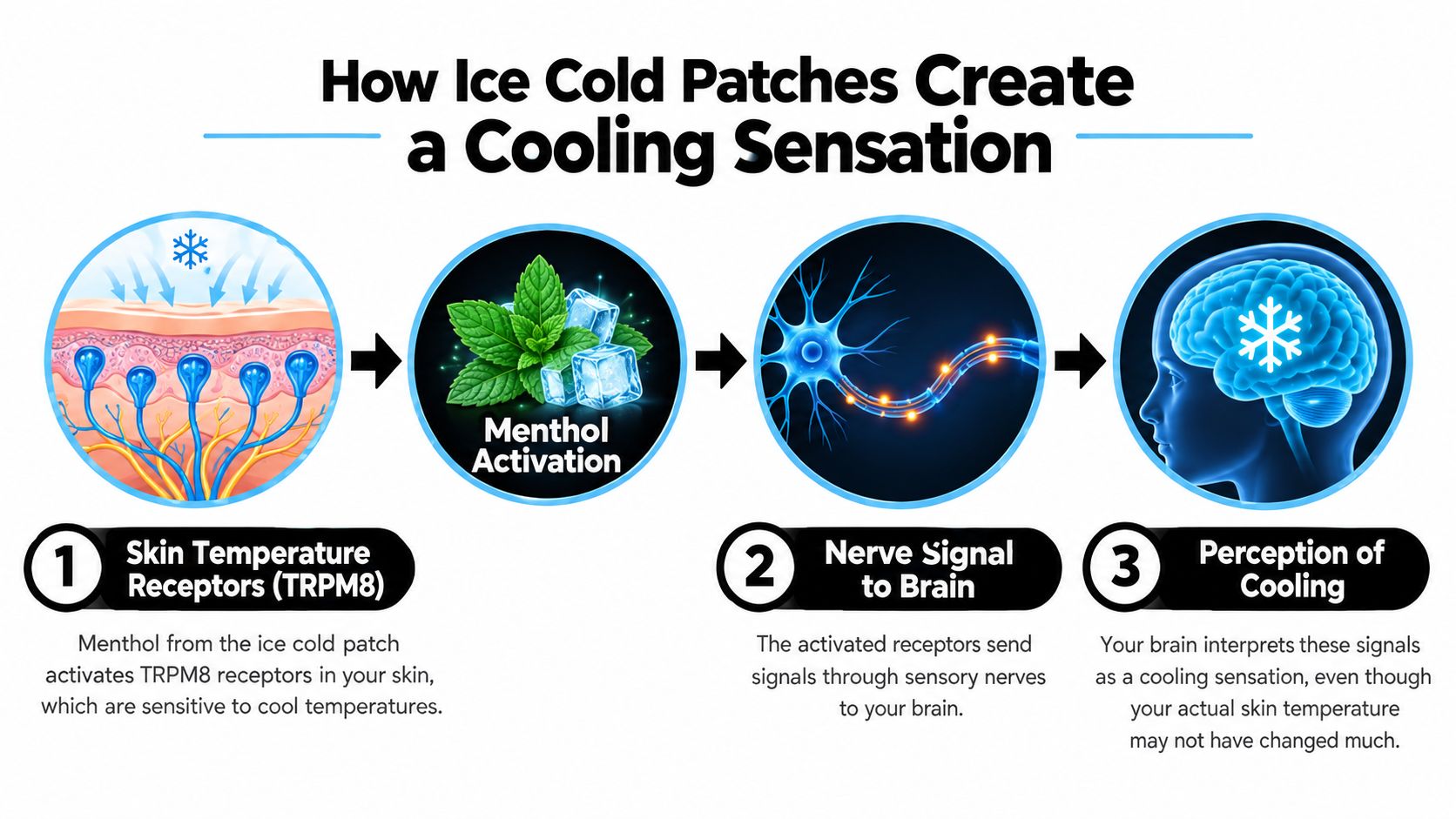 A diagram illustrating how menthol in ice cold patches activates skin receptors to create cooling sensations.