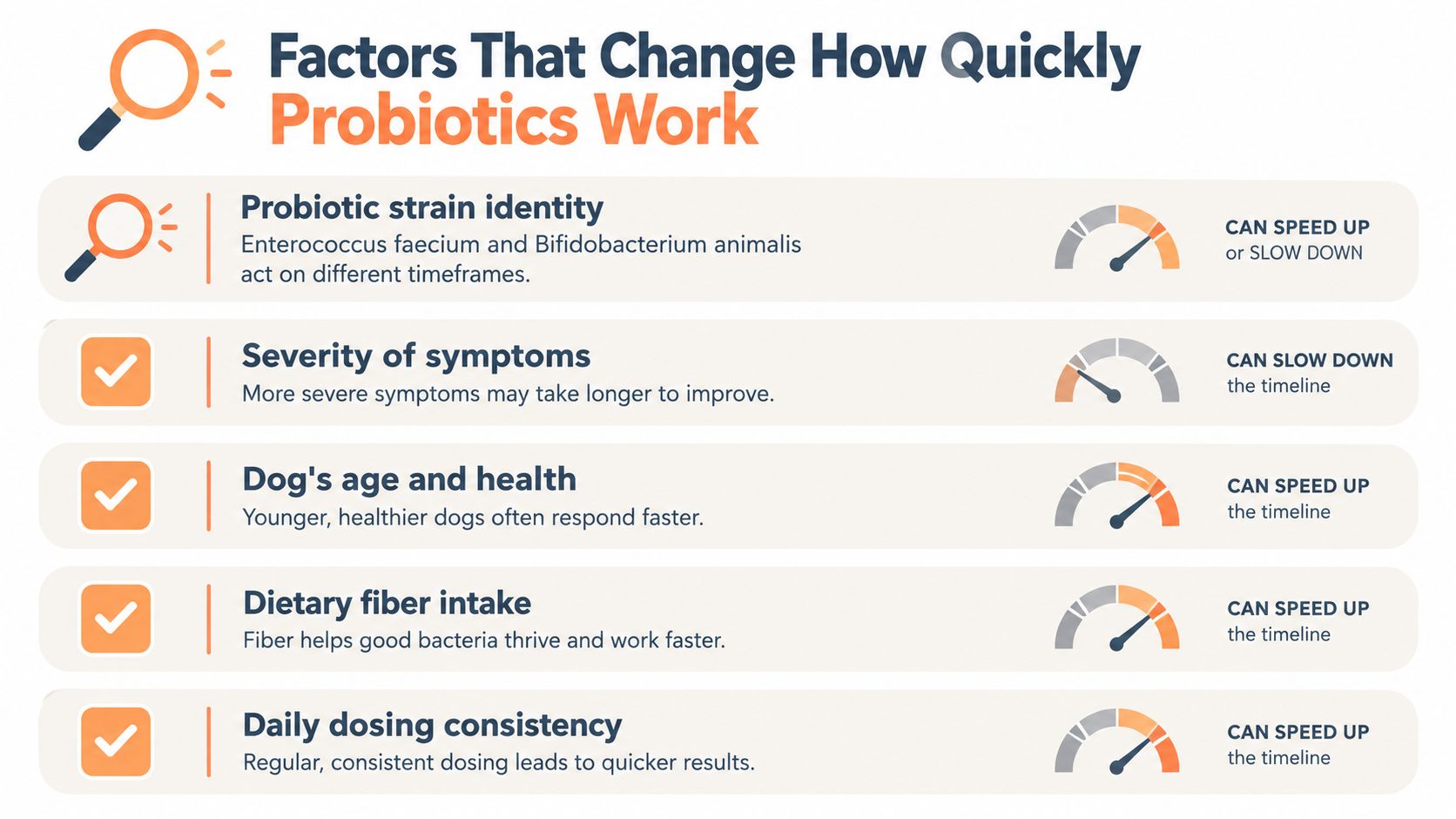 An infographic titled Factors That Change How Quickly Probiotics Work for dogs, listing five influencing factors.