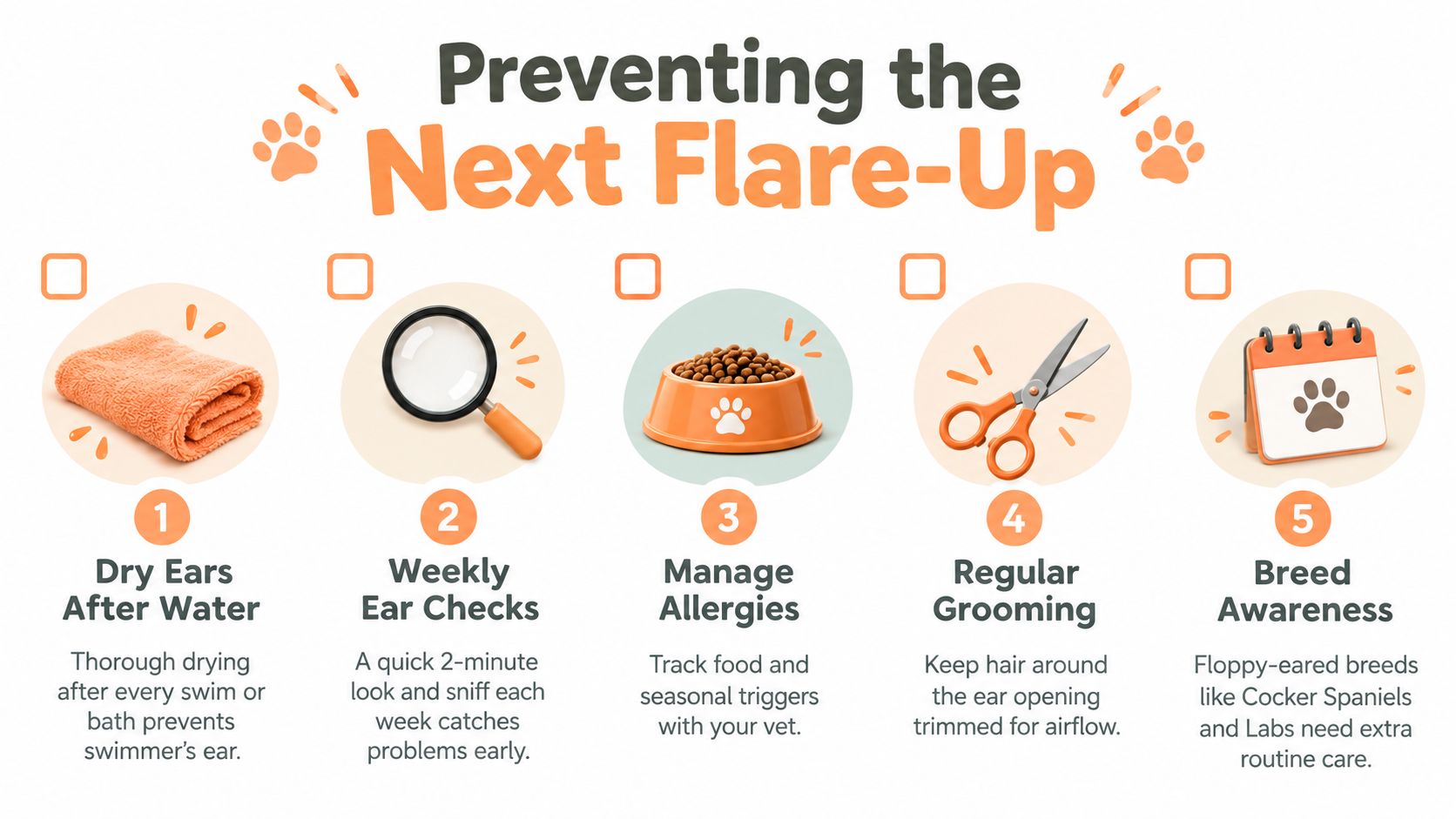 An infographic showing five tips for preventing ear infections in dogs, including drying ears and managing allergies.