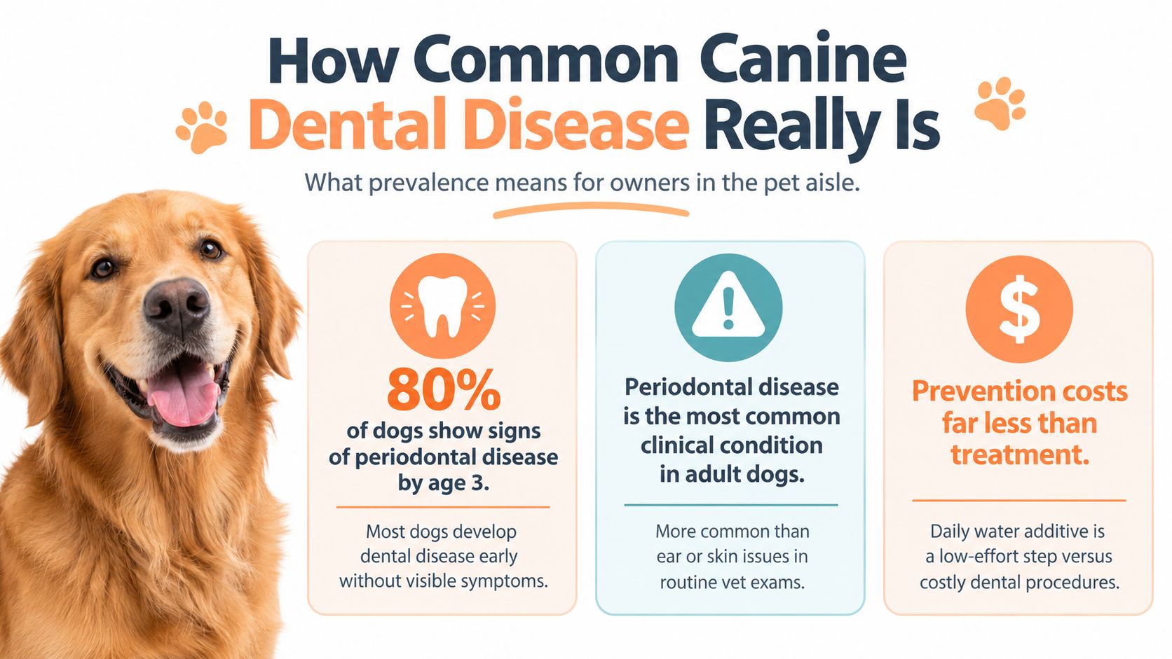An infographic detailing that 80% of dogs develop periodontal disease by age three, highlighting the importance of prevention.