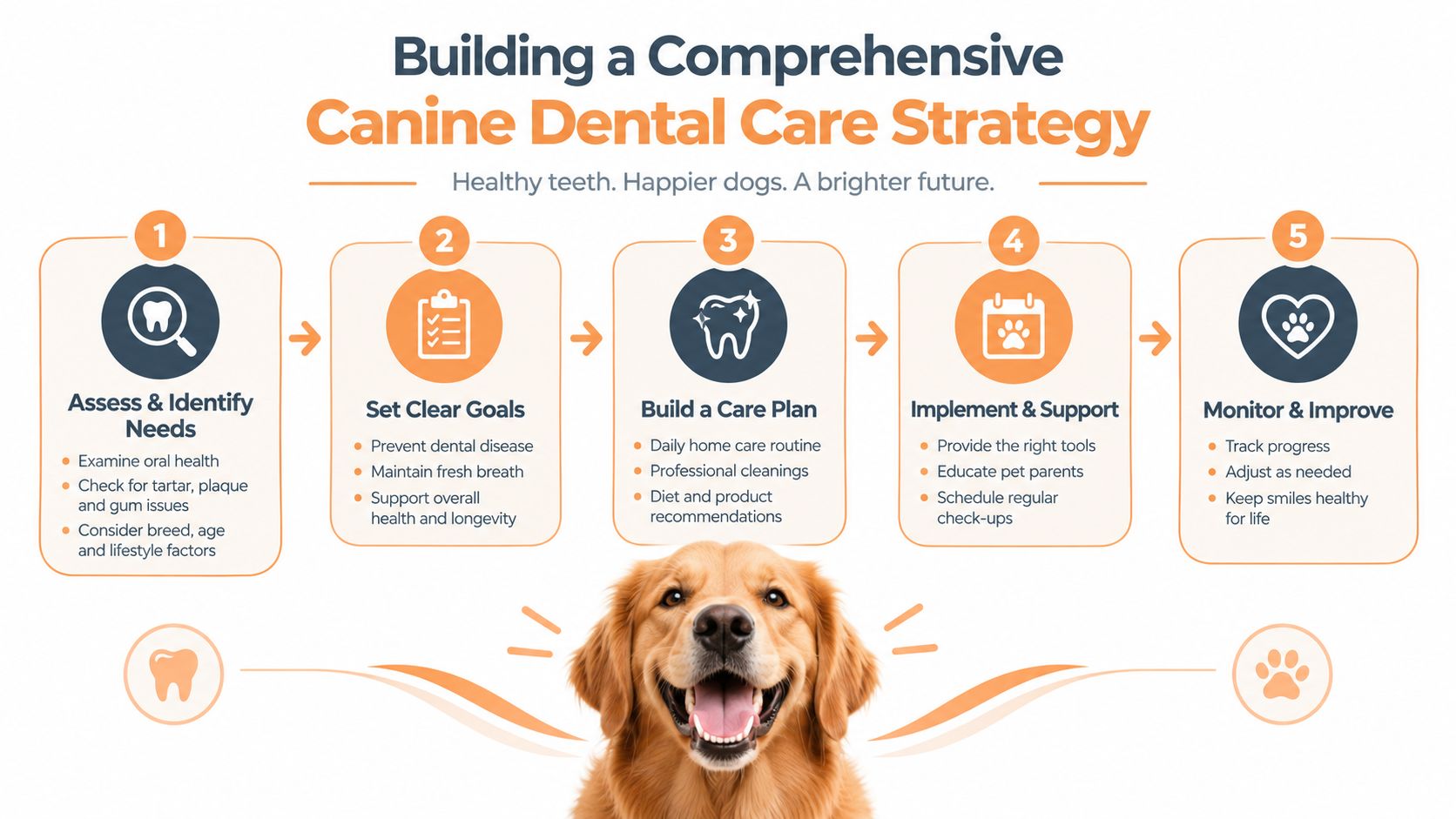 An infographic titled Building a Comprehensive Canine Dental Care Strategy detailing five steps for dog oral health.