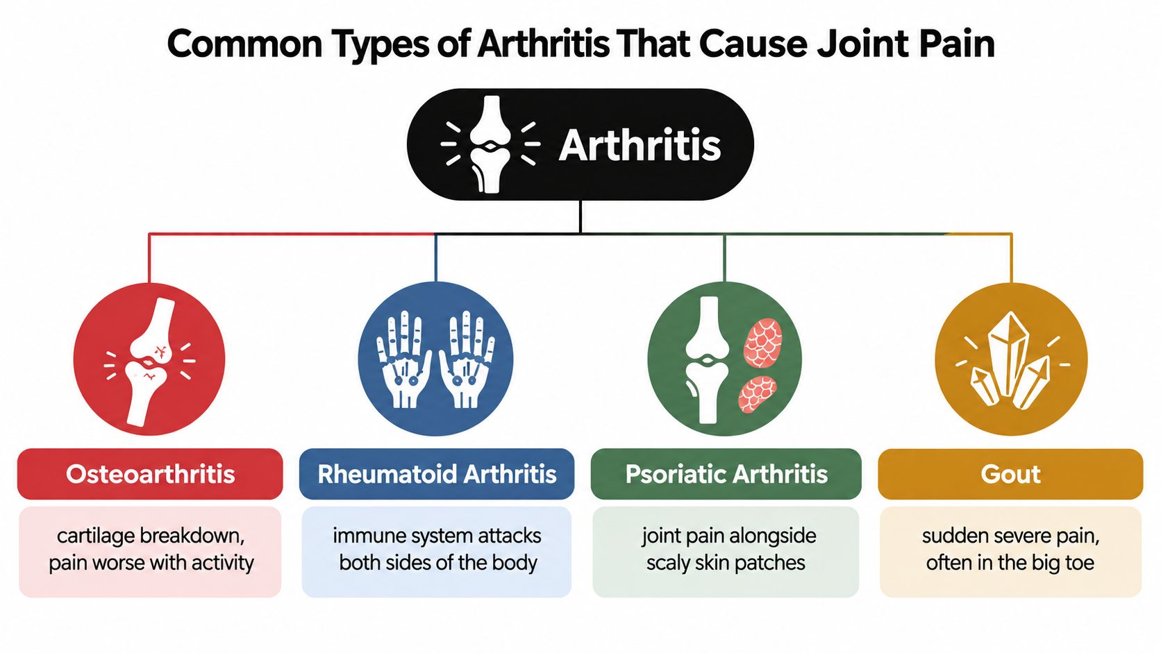 An infographic showing four common types of arthritis that cause joint pain: osteoarthritis, rheumatoid arthritis, psoriatic arthritis, and gout.