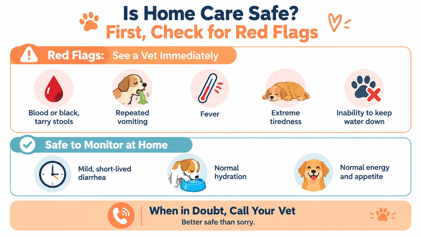 An infographic showing when to see a veterinarian versus when it is safe to monitor dog diarrhea at home.