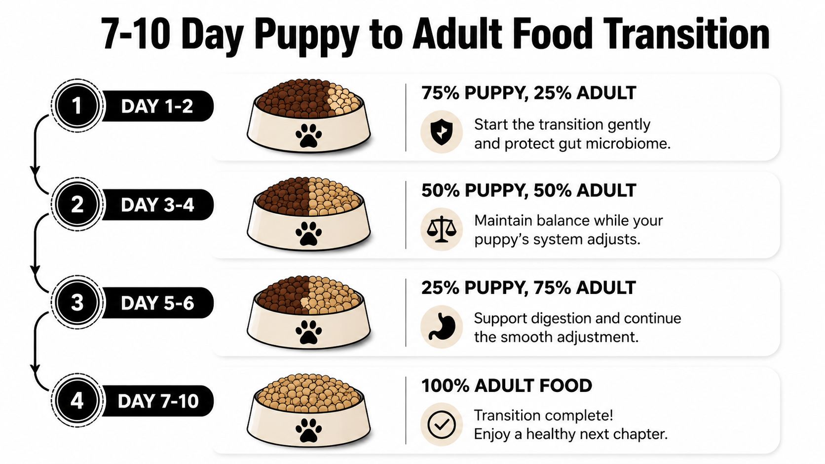 A four-step infographic guide showing how to transition a puppy to adult food over 7-10 days.