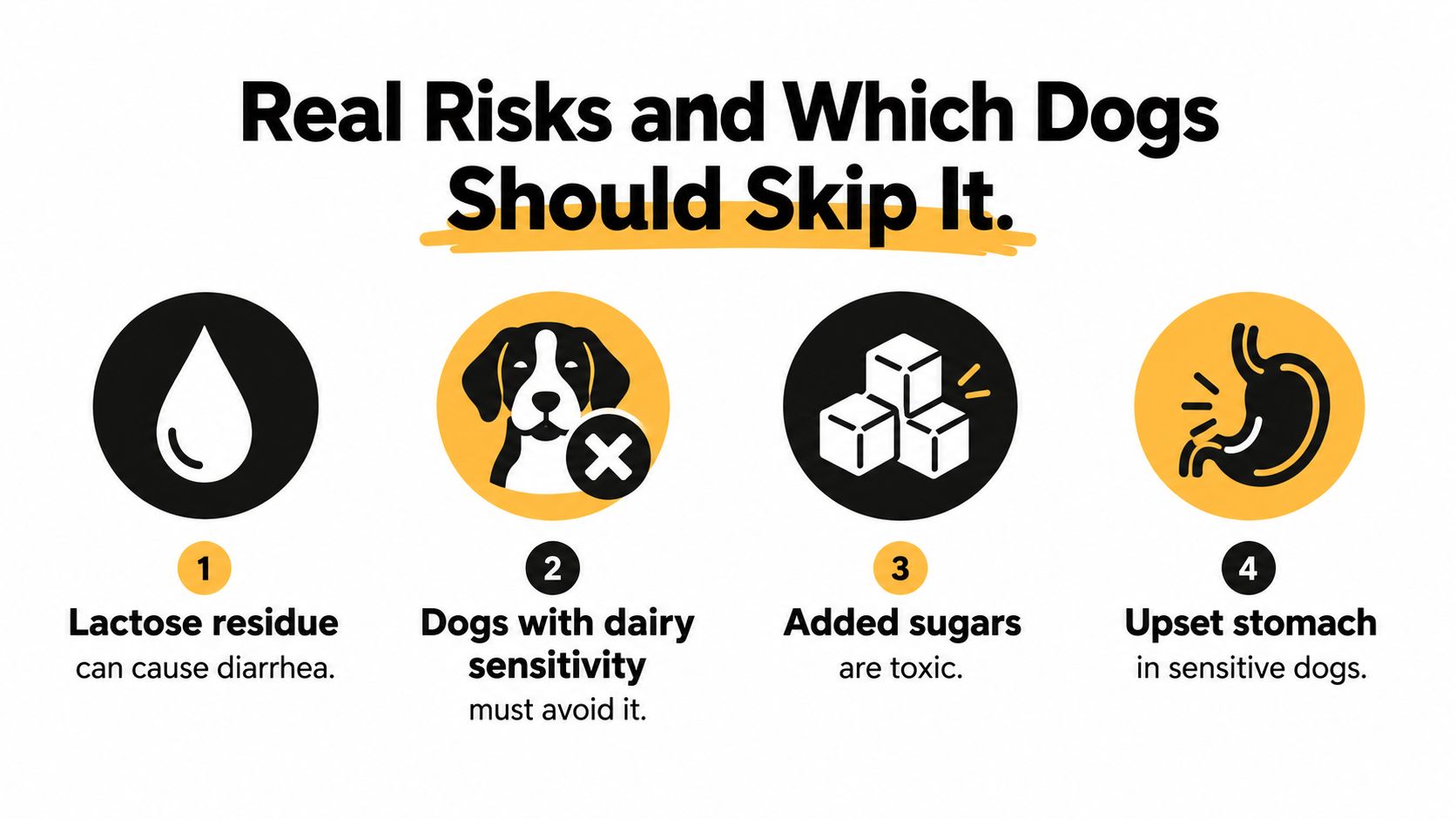 An infographic showing four health risks of dairy for dogs, including lactose, sensitivity, sugar, and upset stomach.