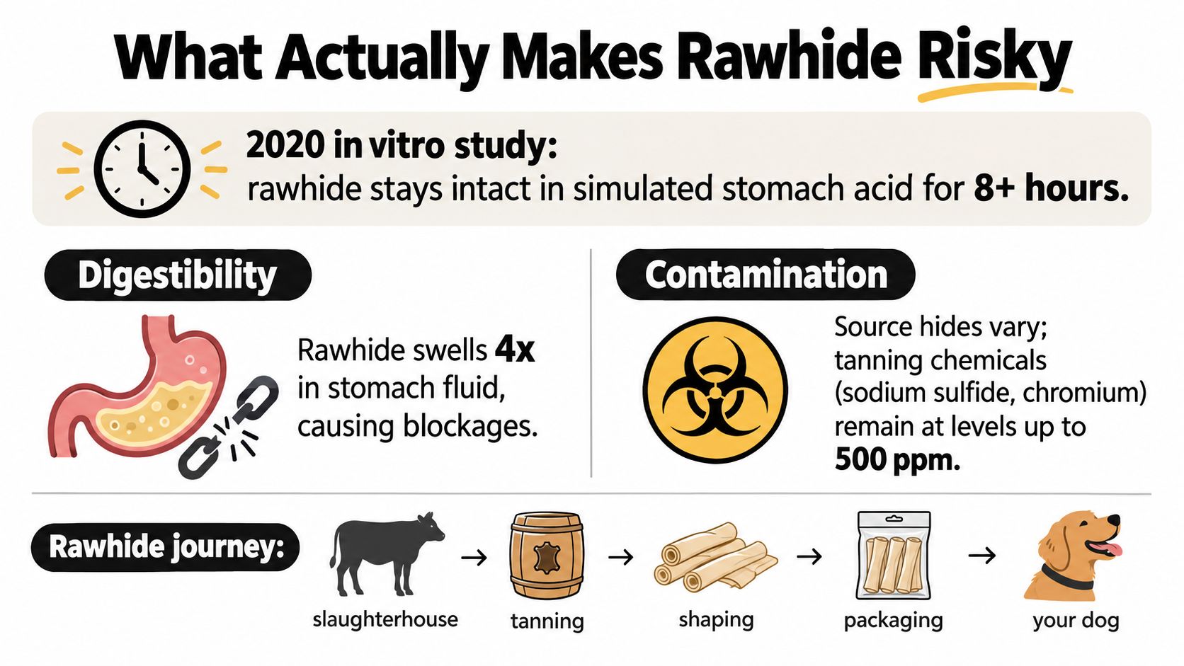 An infographic detailing the health risks of feeding rawhide dog treats, including poor digestibility and contamination.