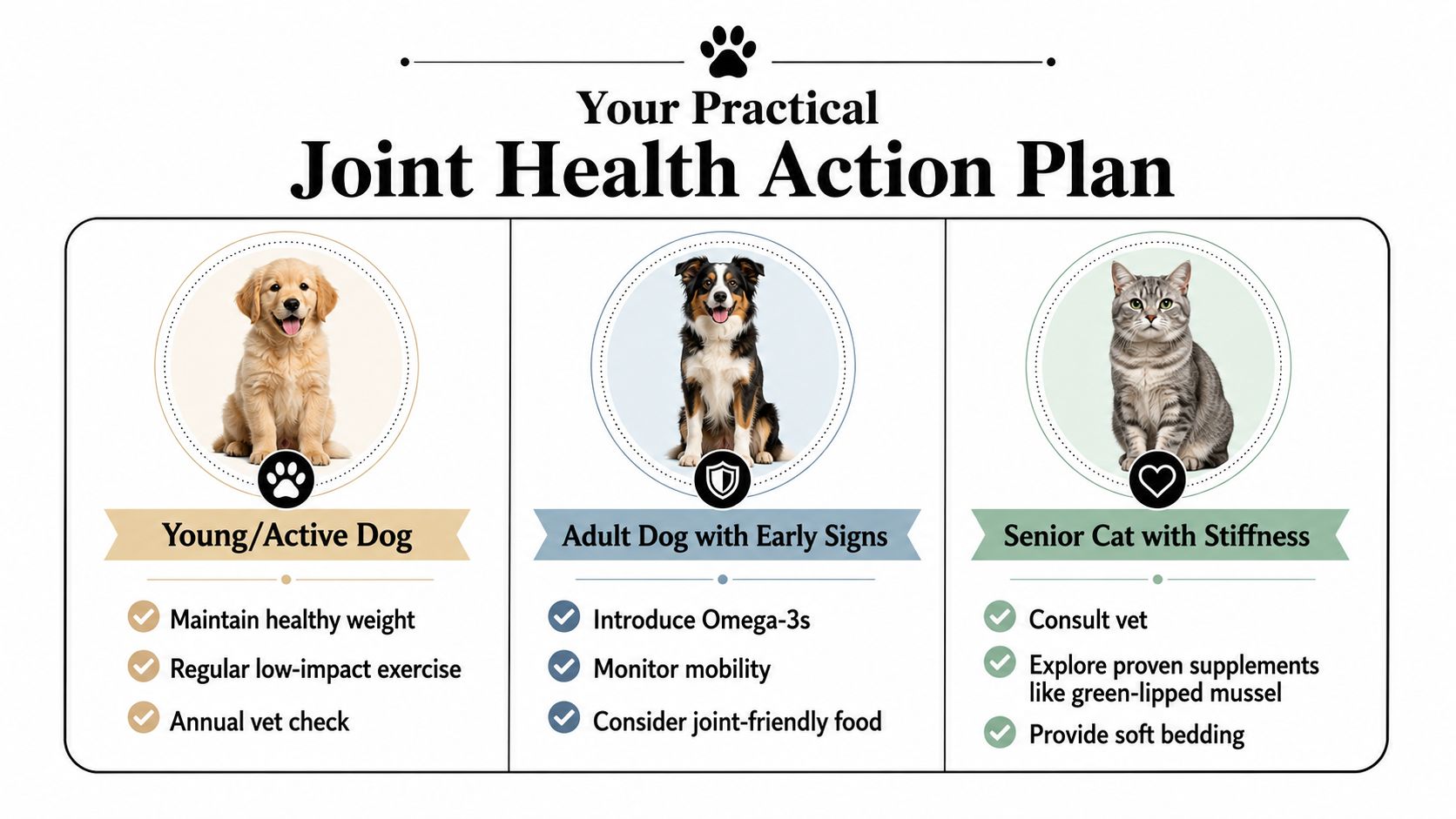 A visual guide illustrating a joint health action plan for young dogs, adult dogs, and senior cats.