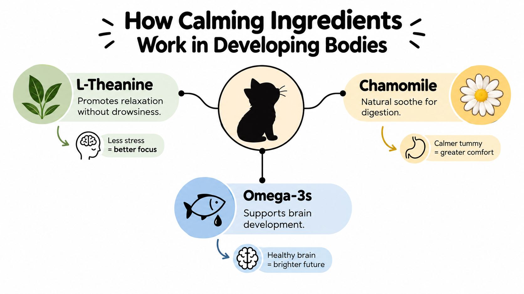 An infographic showing how L-Theanine, Chamomile, and Omega-3s promote relaxation, digestion, and brain health for kittens.