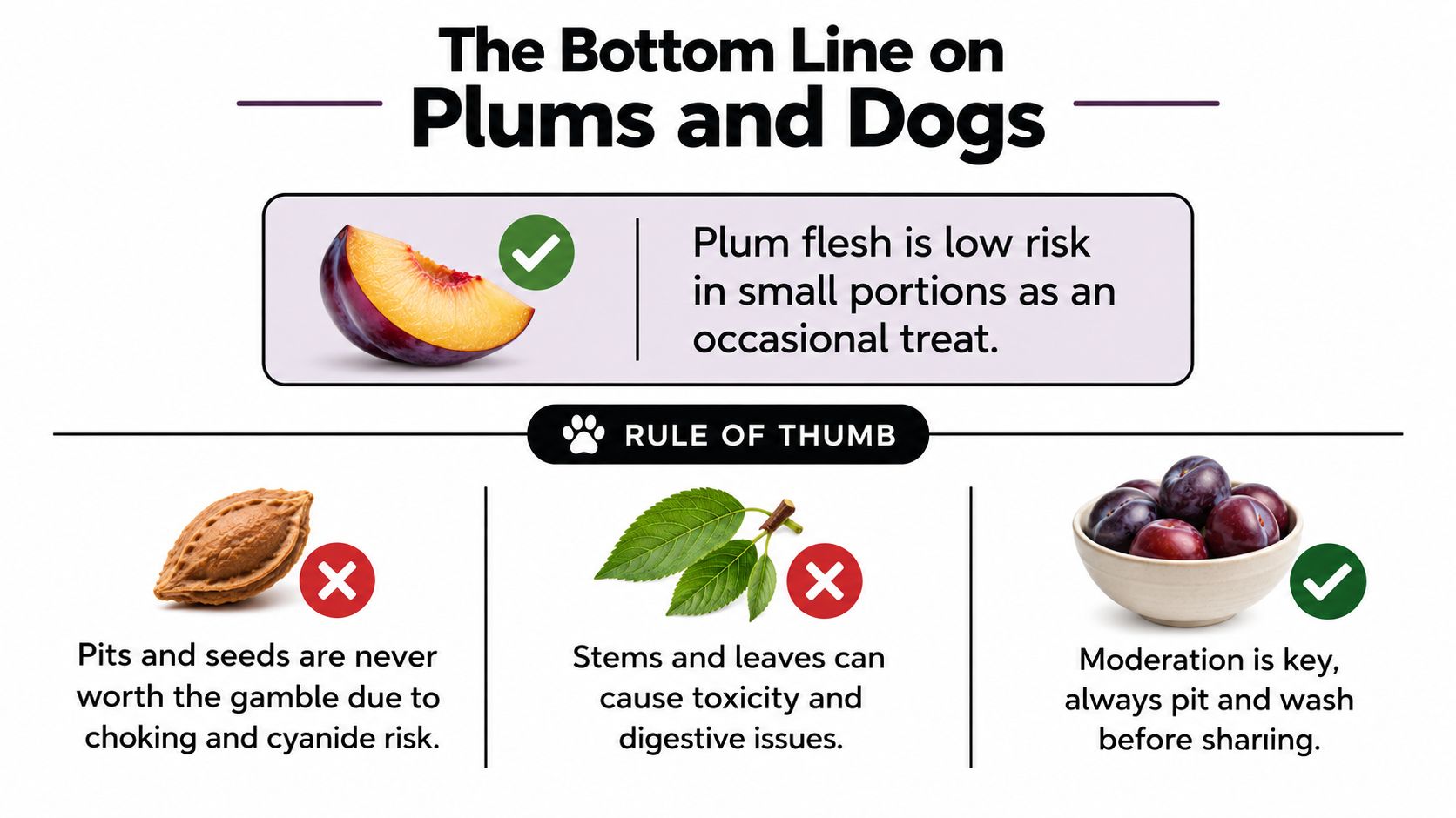 An infographic titled The Bottom Line on Plums and Dogs, detailing safe and unsafe parts of plums.