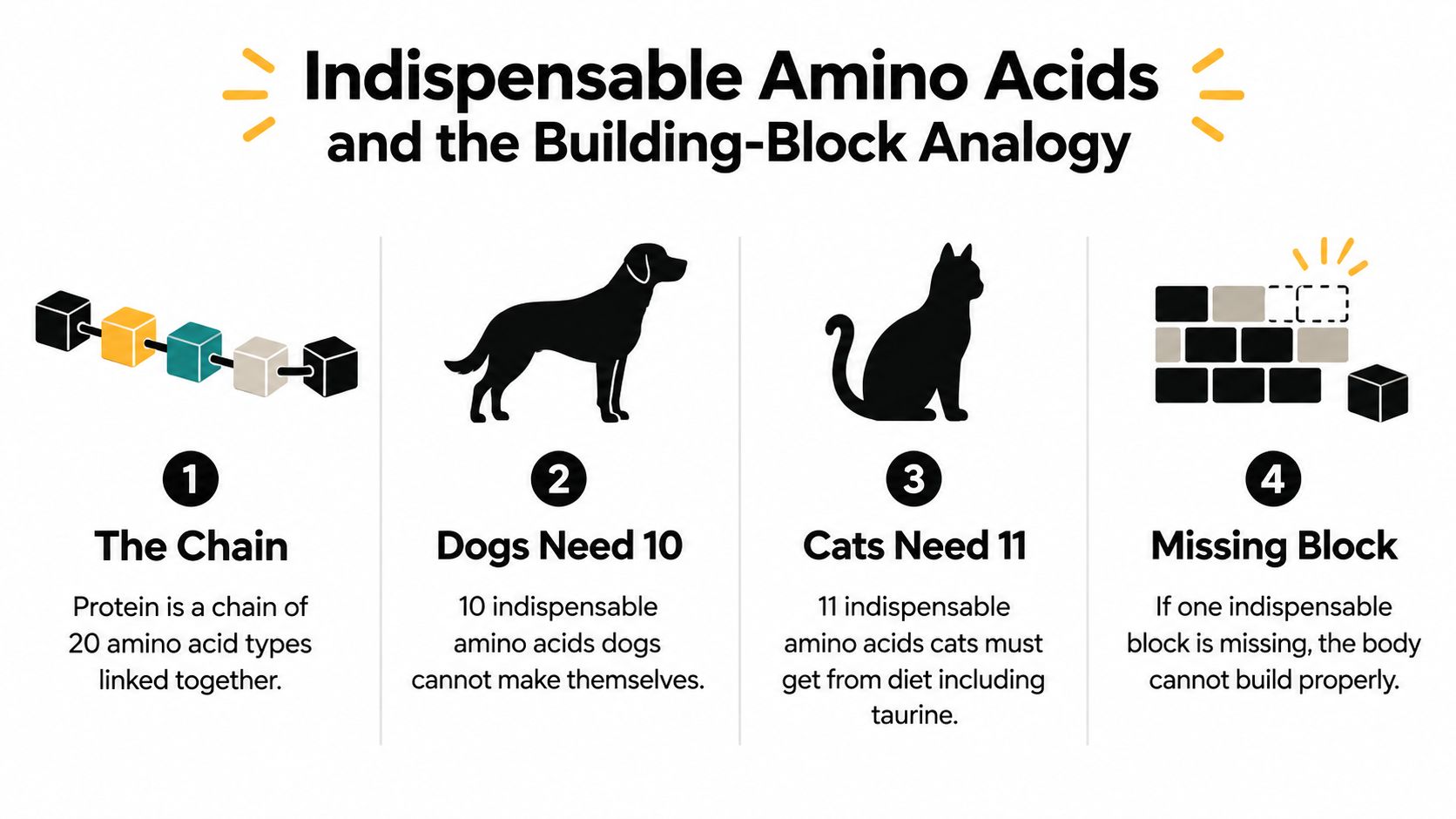 An infographic explaining how dogs and cats require specific essential amino acids from their diets for health.