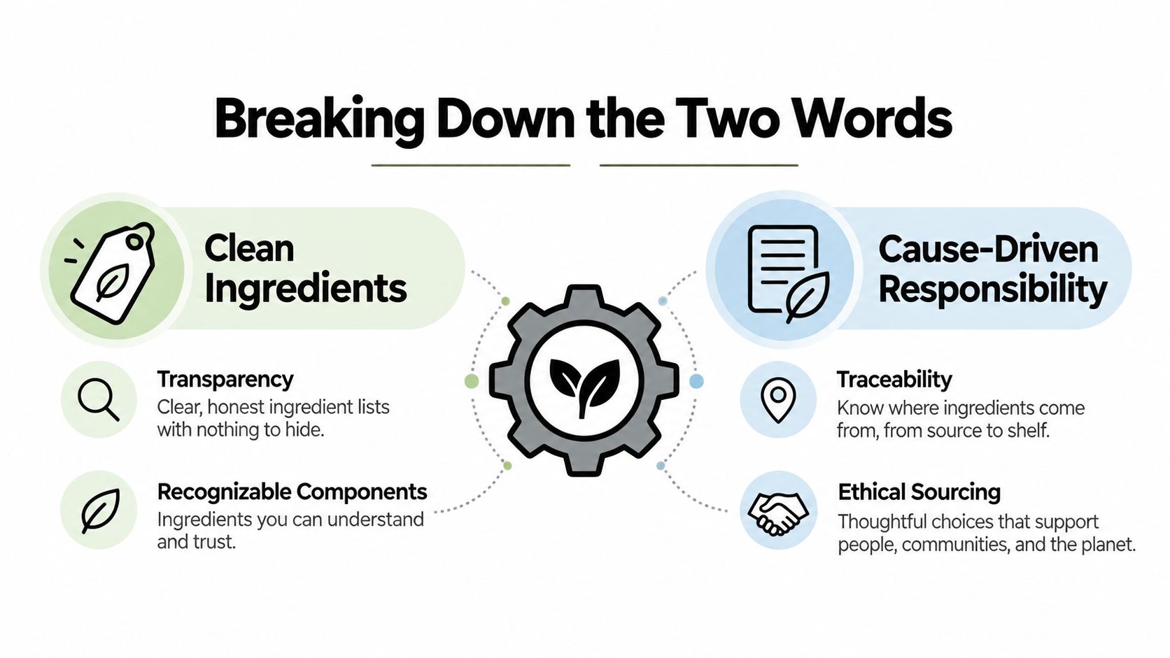 An infographic titled Breaking Down the Two Words, explaining concepts of Clean Ingredients and Cause-Driven Responsibility.