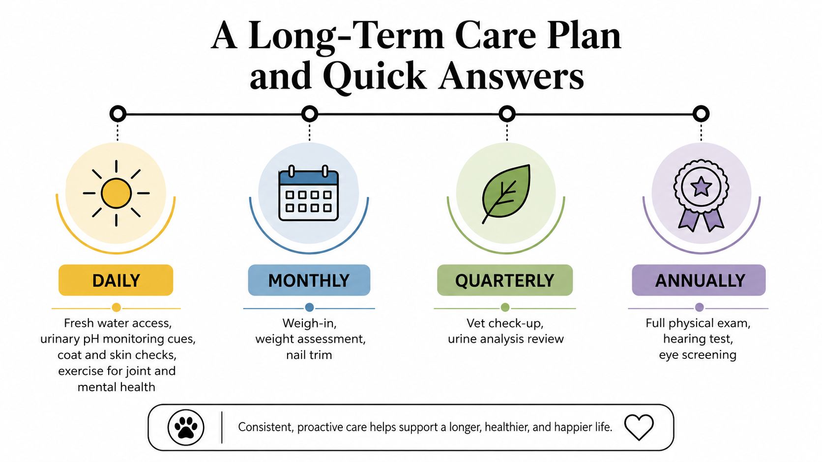 A long-term care plan infographic for pets, outlining daily, monthly, quarterly, and annual health maintenance tasks.