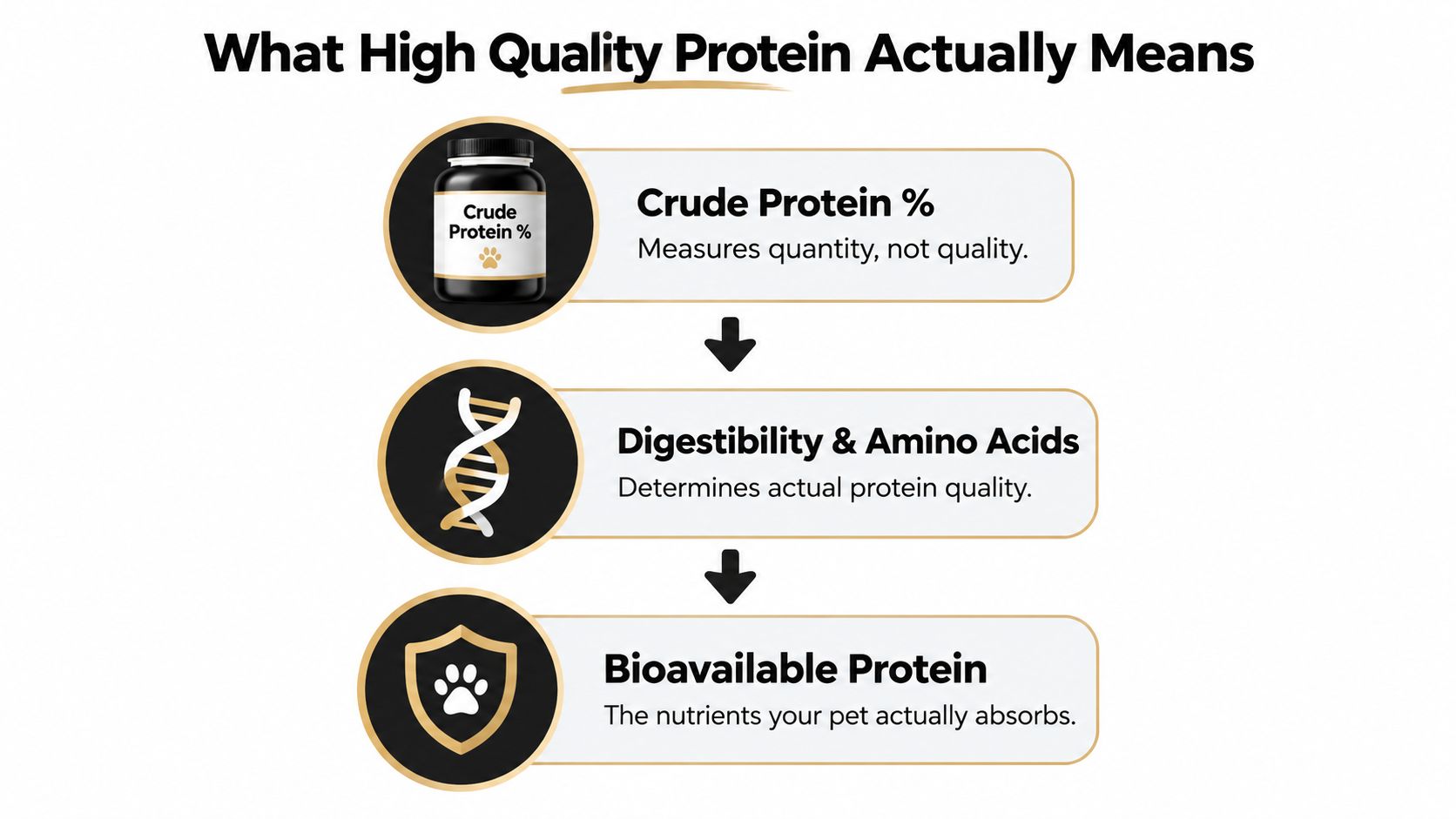 An infographic explaining the components of high quality protein for pets, including crude protein, digestibility, and bioavailability.
