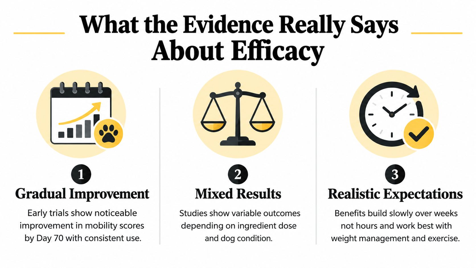 An infographic titled What the Evidence Really Says About Efficacy, showing three points about dog joint health.