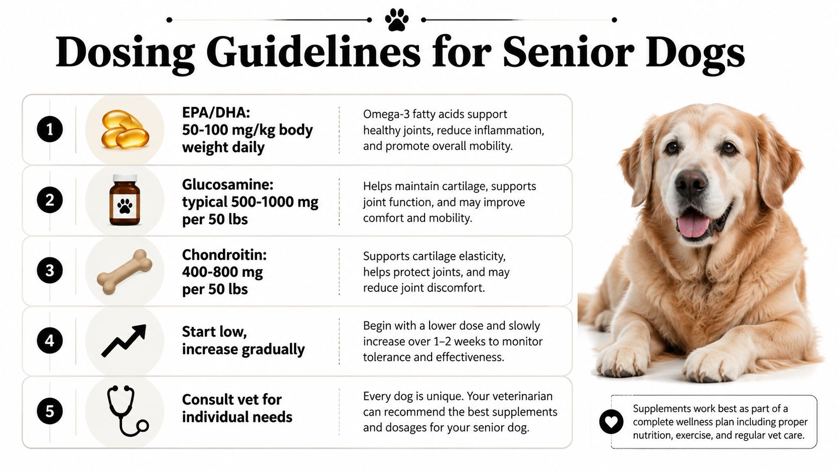 An infographic titled Dosing Guidelines for Senior Dogs outlining supplement recommendations, starting doses, and consulting a veterinarian.