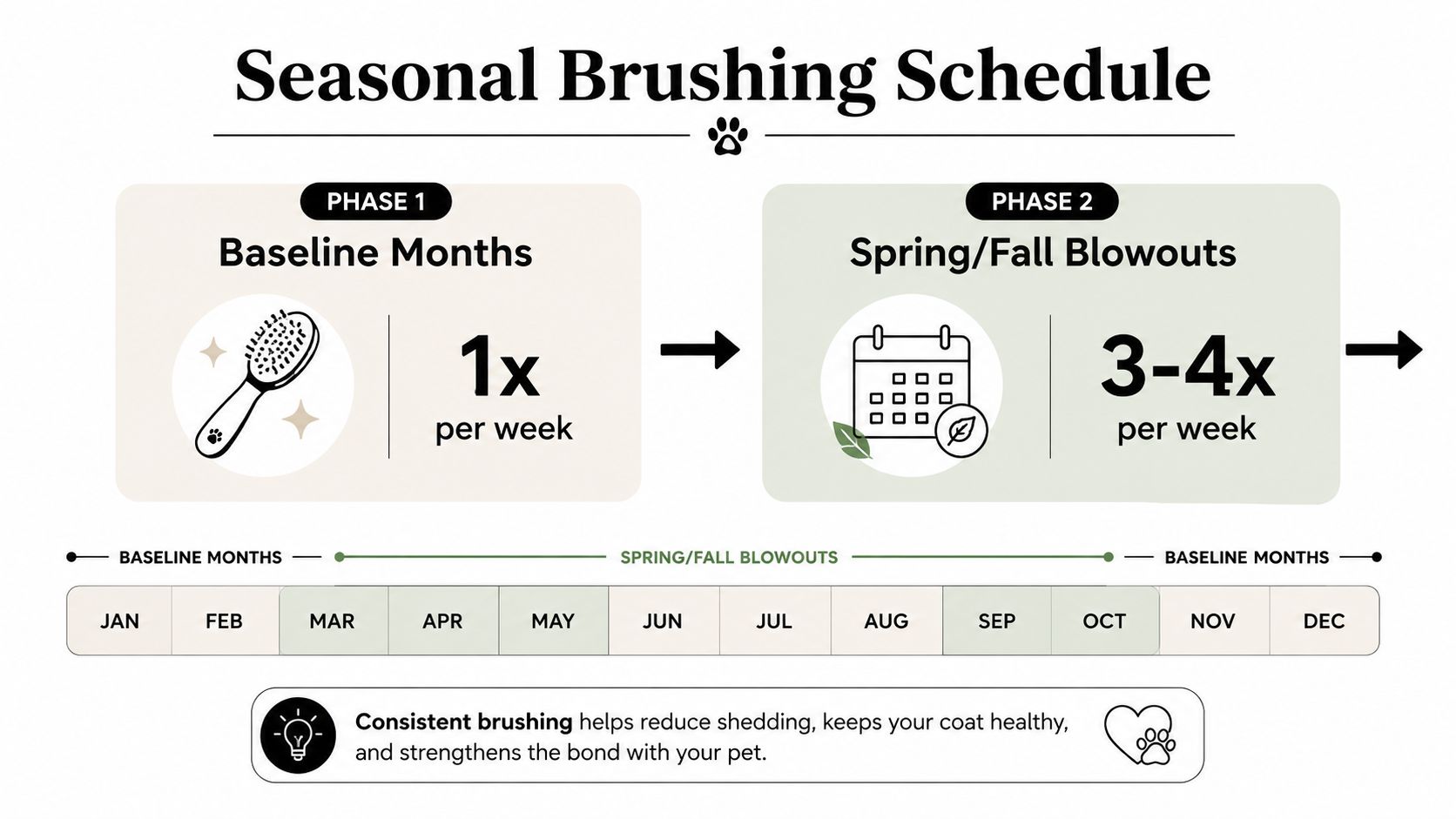A seasonal brushing schedule infographic for pets, showing baseline months versus spring and fall blowout periods.