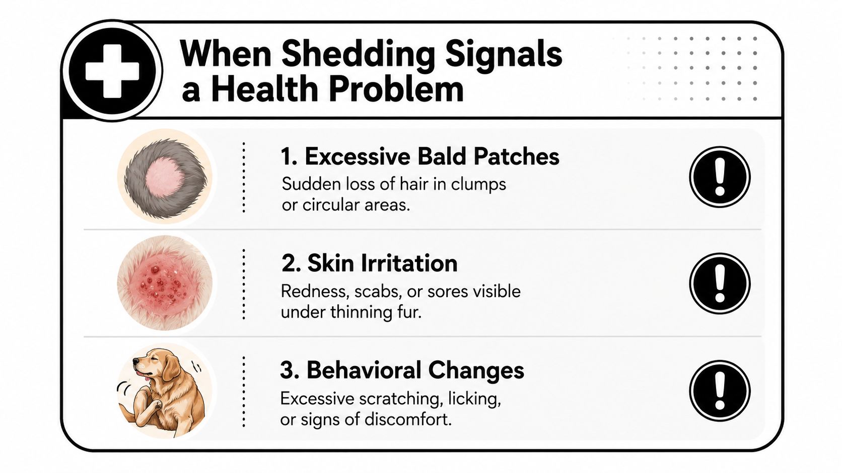 An infographic titled When Shedding Signals a Health Problem with three warning signs for dog owners.